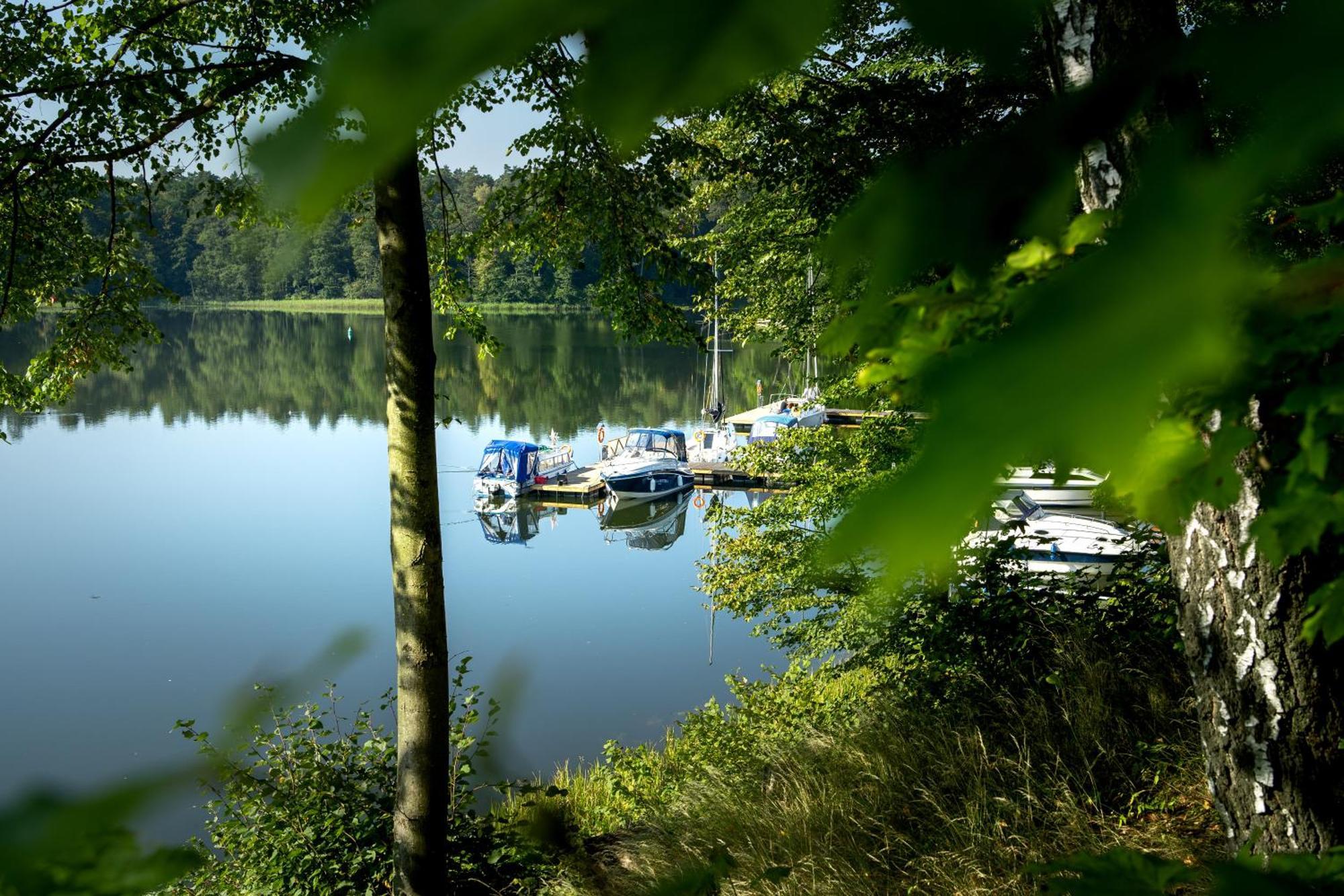 Ruciane Park - Mazury Resort & Spa الغرفة الصورة
